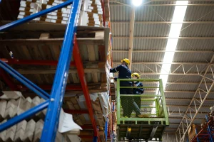 Montaje Técnico y Validaciones